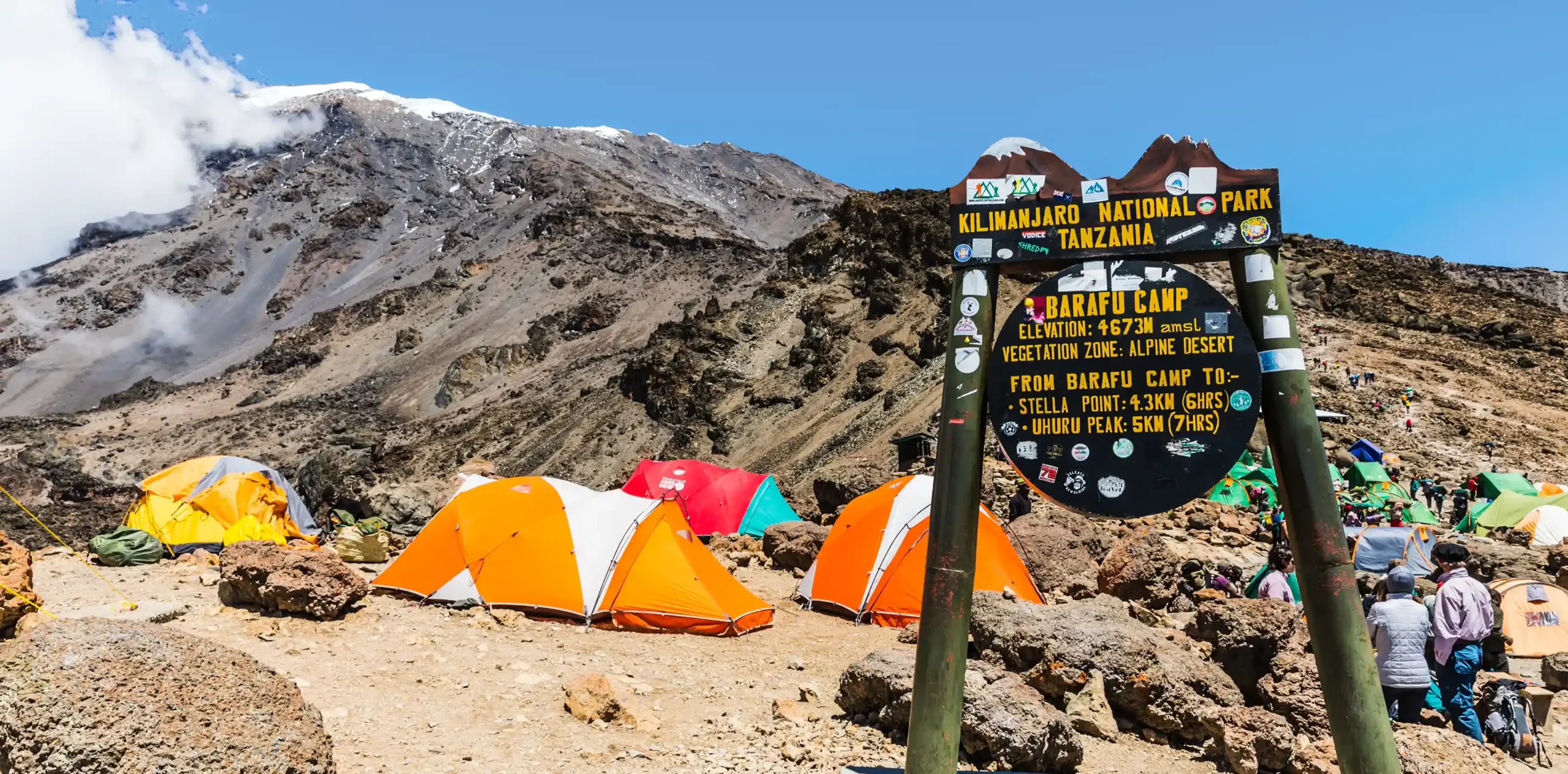 The 7-Day Machame Whiskey Expedition