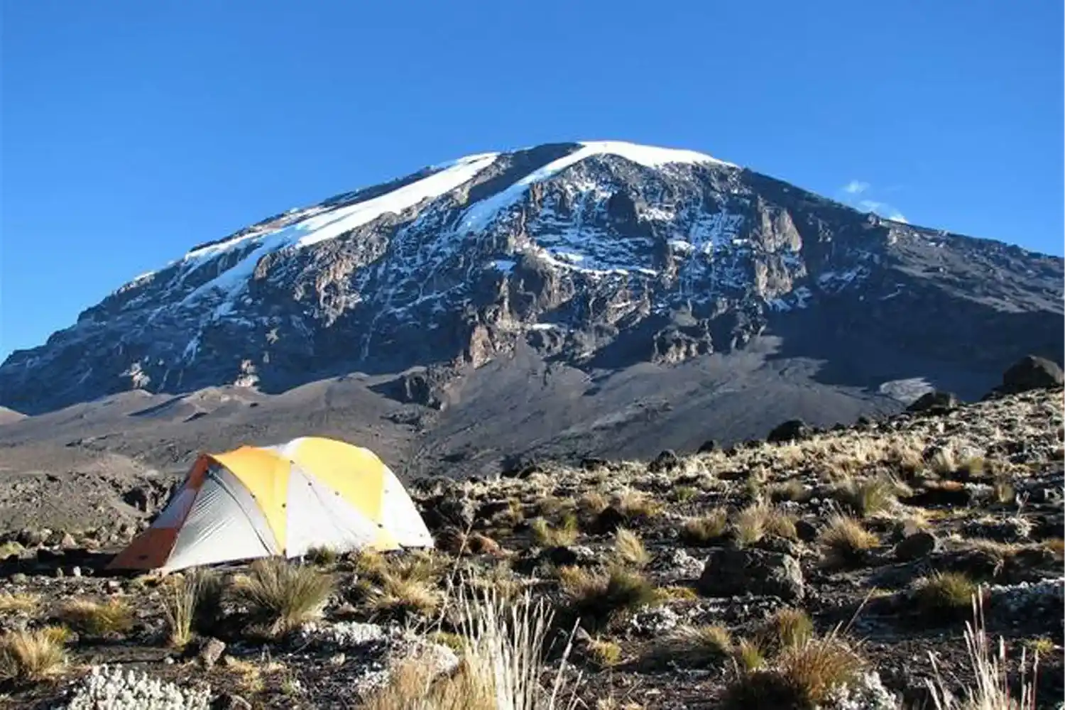 Safari Near Kilimanjaro: The Northern Circuit Parks Explained
