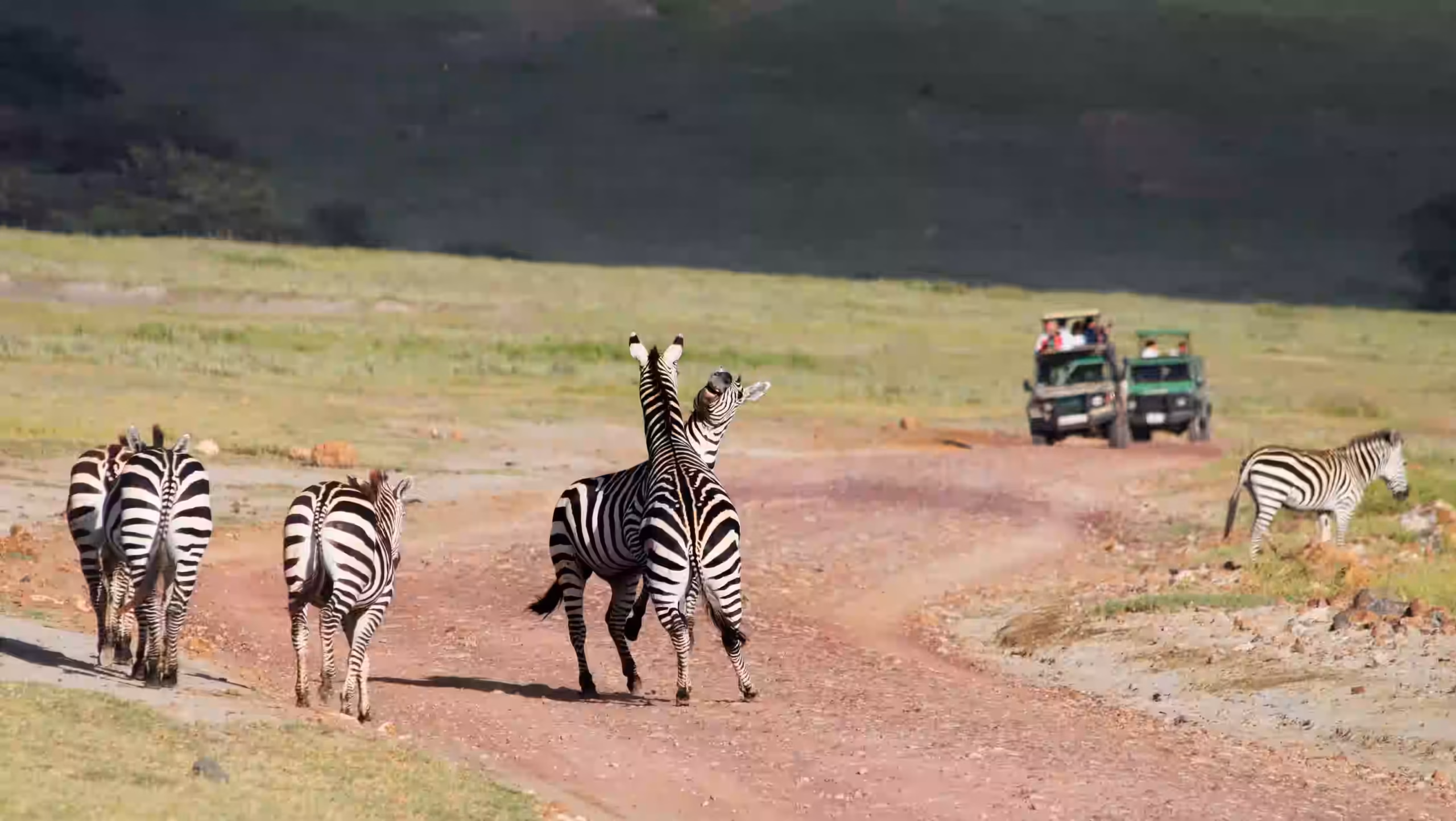 Crater in Tanzania: What the Ngorongoro Caldera Actually Is