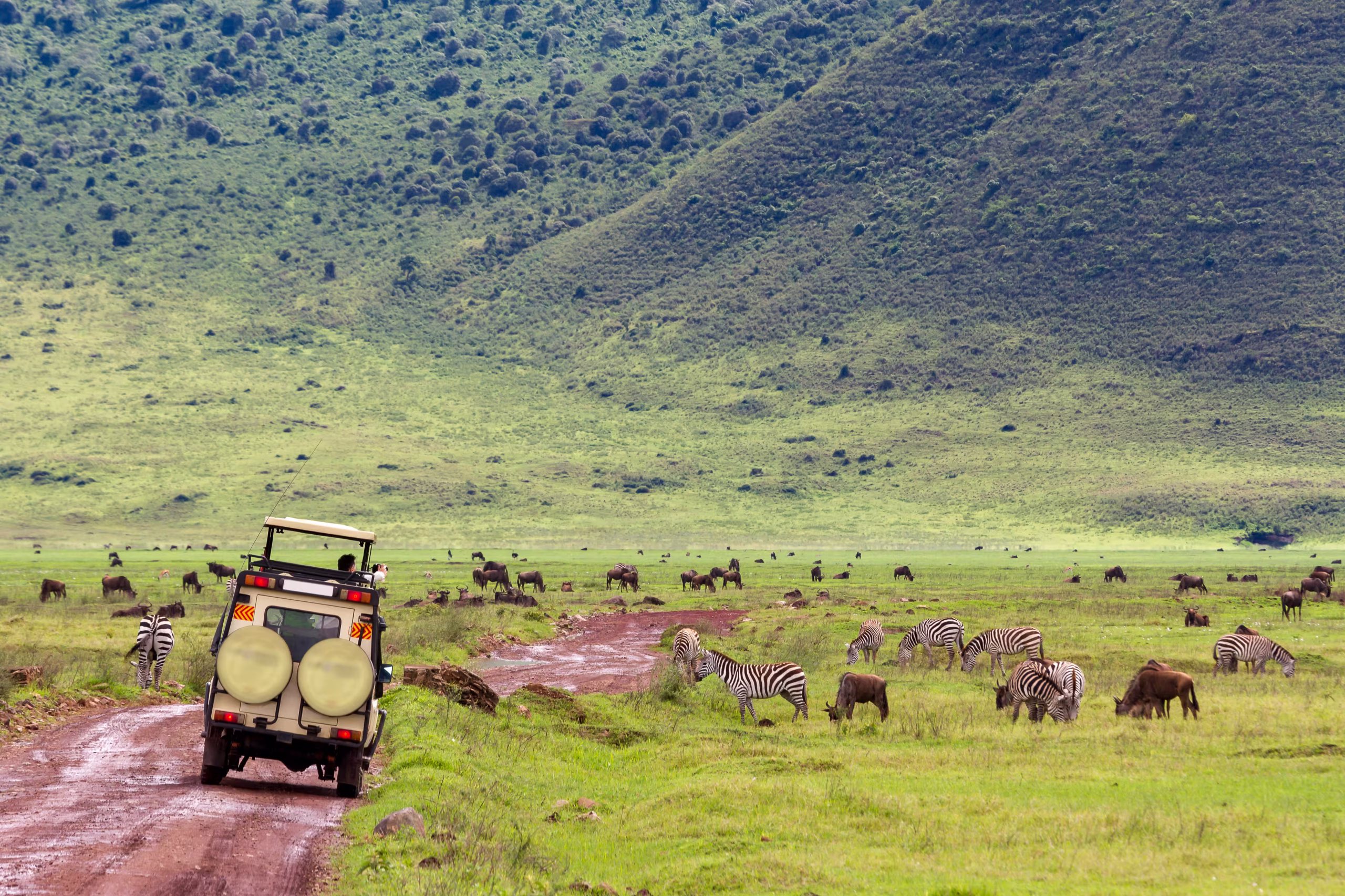 African Safari Tour Packages