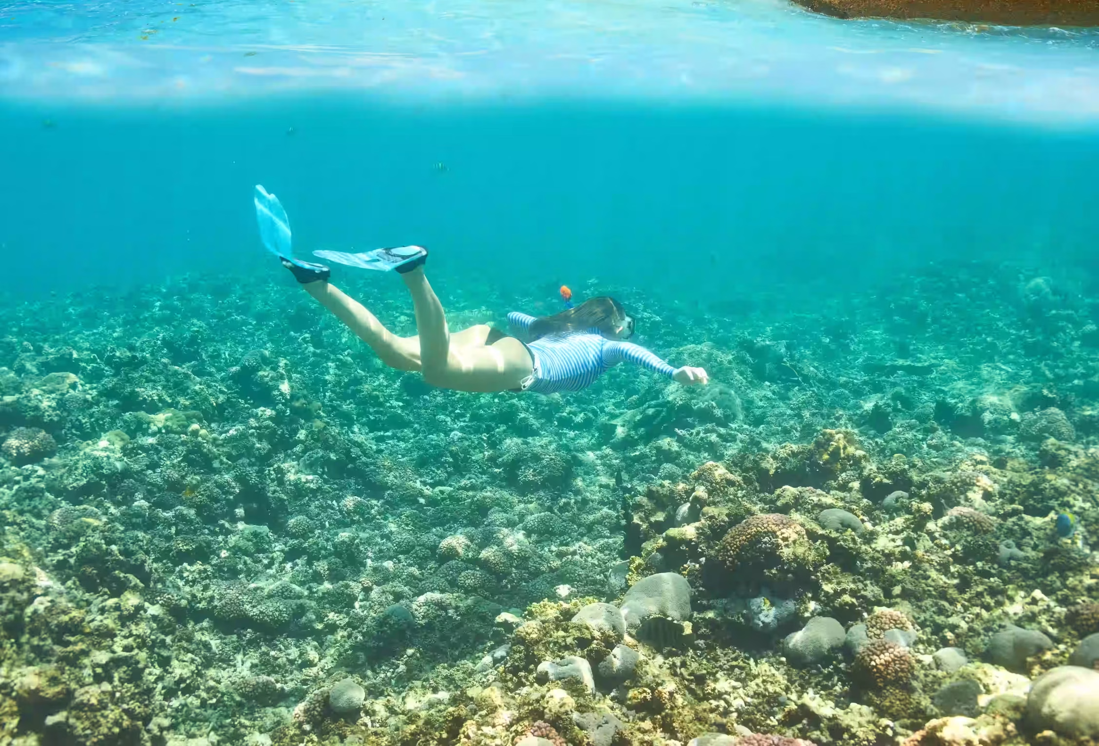 Zanzibar Beach Holidays — The diver’s calendar for the Pemba wall.